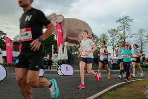 BIB: 
                            <button type="button" onclick="openModal(26528549)" class="btn btn-primary btn-sm float-right btn-popup" data-toggle="modal" data-target=".modal-high-quality">
                        <i class="fas fa-shopping-cart"></i> Add to Cart
                    </button>
                                            <button type="button" onclick="isThisMe(26528549, true)" class="btn btn-success btn-sm float-right btn-popup btn-isme hidden" data-toggle="tooltip" data-placement="bottom" title="นี่คือรูปของคุณใช่ไหม คลิกที่นี่เพื่อเอาเข้าอัลบั้ม">
                        <i class="fas fa-plus"></i> Add to album
                    </button>
                    <button type="button" onclick="isThisMe(26528549, false)" class="btn btn-warning btn-sm float-right btn-popup btn-isnotme hidden">
                        <i class="fas fa-ban"></i> Remove from album
                    </button>